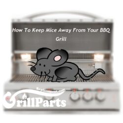 How to Keep Mice out of Grill? Start with our tips...