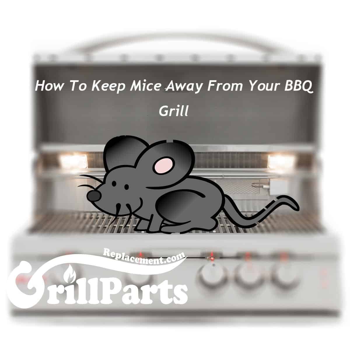 Best Practices to Keep Mice out of Grill & BBQ